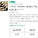 도곡로61길 | 웨딩촬영준비물/아뜰리에메르시1205 웨딩촬영 후기 / 순수 청담본점 헤어메이크업,헤어변형