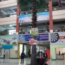 이안경 EYE FACE 이미지