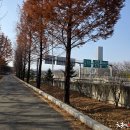 한밭수목원 동원 이미지