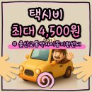 울산 임산부·영아 택시비 지원 신청방법 총정리! 바우처택시 이용 후기