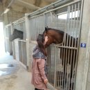 율하우리동물약국 이미지