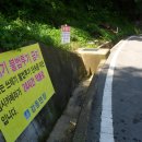 대교배수펌프장 이미지