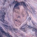 그림이 오감을 만났을때- 감각주의 이미지