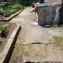 아현초교 이미지