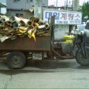 강릉오토바이 - 완주군 봉동동서로 153 | 강릉오토바이