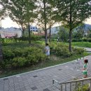 대도카서비스 | 김해 맛집 고깃집 갈매기대도 후기 갈매기살 맛집 대도카세 솔직리뷰