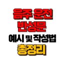 음주운전 반성문 , 형식만 지키면 되는 걸까? 실수 없이 작성하는 법 이미지