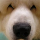 JJ 당구장 이미지