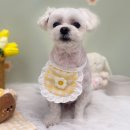 모모애견샵 | ​[수원 애견미용 추천] 우리 집 말티즈 미모 갱신! '펫모모' 클리핑+스파 대만족 후기