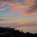 제주 마중 민박 | 제주도 민박 숙소 추천 바당고띠 바당고띠에서 오션뷰를 즐기세요