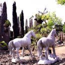 제주코아 관광호텔 이미지