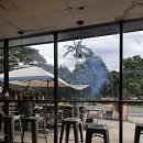 팜스치킨 | 랜치 근처 맛집 완전 추천 야미 훌리훌리치킨 코나커피 코코넛 주스 트로피컬 팜스 마카다미아 넛츠