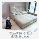 클린케어세상 | 천안 소파청소 비치움 클린하게 | 묵은 먼지부터 생활오염까지 꼼꼼 케어 후기