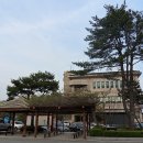 부여군청 광장 Daum카페