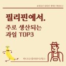 [#정유선 필리핀 개척단 현장보고] 필리핀에서 주로 생산되는 과일 Top3 바나나/깔라만시/망고 이미지