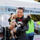 우리동네 펫 헤럴드경제