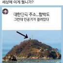 돈이 억대 오고간 것은 어떤변명 해도 냄새나는것 이미지