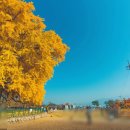 반계1리마을회관 이미지