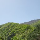 송이용소 네이버블로그