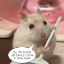 나오트커피