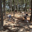 원황초등학교 이미지