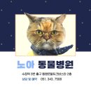 봉 동물병원 이미지