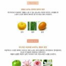 델리케이트 이미지