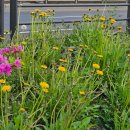 공원로382번길 이미지