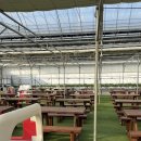 고양농장2 | 고양 일산 딸기체험 23개월 아기랑 다인이네딸기농장 후기