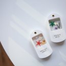 바다를 담은 석고방향제 이미지