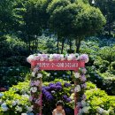 장생포고래로L 이미지