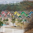 파트라슈 애견 펜션 이미지