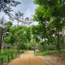 제35차 마애종 슬로우답사, (2)천장산 숲길과 명성황후 초장지 이미지