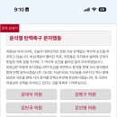 국힘 압박용 문자 매크로 나옴 (+ 번호 추가) 이미지