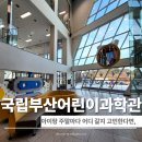 국립부산과학관 어린이과학관 | 부산 아이랑 갈만한 곳 후기 국립부산 어린이 과학관 반나절 일정으로 딱 좋았던 체험 공간