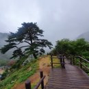 김천(서울) 이미지