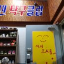 스핀탁구교실