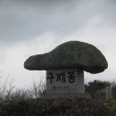 먹점경로당 Daum카페