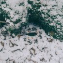 원주카톨릭병원 이미지