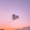 코지카페 이미지