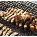 통영산곰장어 이미지