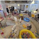 어뮤즈 호텔 이미지