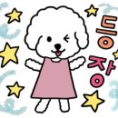 워니보니