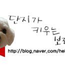 차오름타임