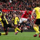 그린우드 이미지