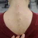 육층한의원 | 마곡 마사지/수힐링명가 뼈소리나는 도수치료삘 척추체형테크닉 받은 후기 ft.카이로프랙틱