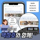 벽창호구미 이미지
