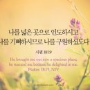 올리브호스텔 이미지