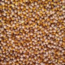 새터농장 이미지