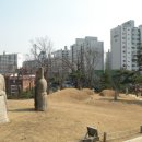 방학동 은행나무 이미지